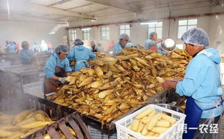 山西大同 農(nóng)產(chǎn)品加工業(yè)銷售破43億元，產(chǎn)業(yè)結(jié)構(gòu)優(yōu)化升級(jí)